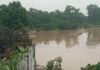 रोहिन नदी का जलस्तर स्थिर हुआ:त्रिमुहानी घाट के पास 24 घंटे से नहीं बढ़ा, किसानों को मिली राहत
