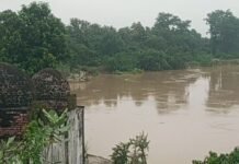 रोहिन नदी का जलस्तर स्थिर हुआ:त्रिमुहानी घाट के पास 24 घंटे से नहीं बढ़ा, किसानों को मिली राहत