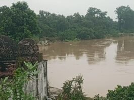 रोहिन नदी का जलस्तर स्थिर हुआ:त्रिमुहानी घाट के पास 24 घंटे से नहीं बढ़ा, किसानों को मिली राहत