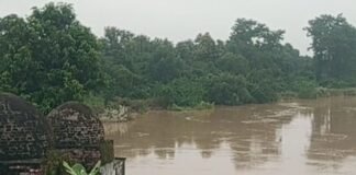 रोहिन नदी का जलस्तर स्थिर हुआ:त्रिमुहानी घाट के पास 24 घंटे से नहीं बढ़ा, किसानों को मिली राहत