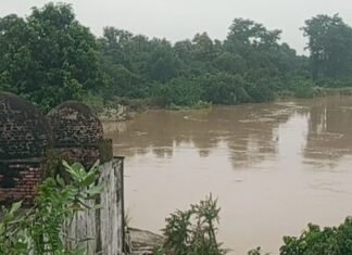 रोहिन नदी का जलस्तर स्थिर हुआ:त्रिमुहानी घाट के पास 24 घंटे से नहीं बढ़ा, किसानों को मिली राहत