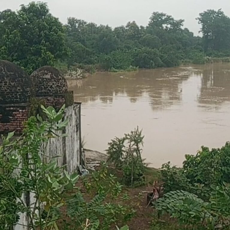 रोहिन नदी का जलस्तर स्थिर हुआ:त्रिमुहानी घाट के पास 24 घंटे से नहीं बढ़ा, किसानों को मिली राहत