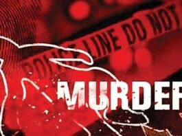लेडी इंस्पेक्टर की हथौड़े से हत्या, वारदात के बाद दोस्त ने उठाया खौफनाक कदम