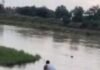 कांस्टेबल ने नहर में कूदकर महिला की जान बचाई, VIDEO:तेज बहाव में छलांग लगाकर बाहर निकाला; अस्पताल में कराया भर्ती कांस्टेबल ने नहर में कूदकर महिला की जान बचाई, VIDEO:तेज बहाव में छलांग लगाकर बाहर निकाला; अस्पताल में कराया भर्ती
