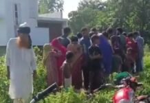 UP: बहराइच में सड़क किनारे मिला 38 वर्षीय अज्ञात व्यक्ति का शव, इलाके में मचा हड़कंप,जांच में जुटी पुलिस