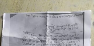 पुरानी रंजिश में दबंगों ने काटे 500 यूकेलिप्टस के पेड़, 5 लाख का नुकसान; पीड़िता ने थाने में दी नामजद तहरीर।