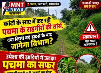अधिकारियों की अनदेखी: स्थानीय निवासियों द्वारा कई बार सूचित करने के बावजूद नहीं कराया गया सफाई*