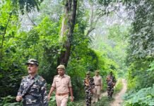 इंडो-नेपाल बॉर्डर क्षेत्र में जनपदीय पुलिस एवं एसएसबी की संयुक्त टीम द्वारा की गई पैदल गश्त एवं सघन चेकिंग अभियान*
