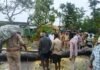 भारी बारिश के दृष्टिगत पुलिस, डायल 112 एवं वन विभाग द्वारा सड़क मार्गों पर गिरे पेड़ों को तत्काल हटवाया जा रहा