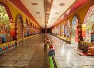 श्री वल्लभाचार्य की जन्मस्थली चंपारण्य में बनेगा भव्य स्टैच्यू कॉम्प्लेक्स, केंद्र ने दी मंजूरी