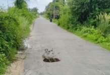 श्रावस्ती के गिलौला-सिसवारा मार्ग पर धंसी सड़क:असवा गांव के पास बीच रास्ते में बना गहरा गड्ढा, हादसे का खतरा