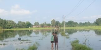 श्रावस्ती में बाढ़ के पानी से घिरा स्कूल:बच्चे-शिक्षक जान जोखिम में, अभिभावकों ने बच्चों को भेजना बंद किया, प्रशासन से गुहार