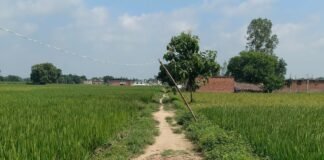 भीटा मिरवा पुर स्कूल का रास्ता कीचड़ से भरा:बारिश में बच्चों को स्कूल जाने में हो रही मुश्किल, कई गिरकर चोटिल
