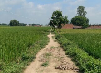भीटा मिरवा पुर स्कूल का रास्ता कीचड़ से भरा:बारिश में बच्चों को स्कूल जाने में हो रही मुश्किल, कई गिरकर चोटिल