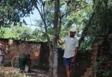 श्रावस्ती में भारी बारिश से घर की दीवार गिरी:बेनीडिहवा गांव में जलभराव से रास्ता बंद, पीड़ित ने DM से मांगी मदद