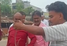 निचलौल में सांप ने काटा:सर्प रक्षक टीम ने घर से सांप को पकड़ा, पीड़ित अस्पताल में भर्ती