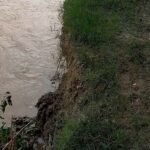श्रावस्ती में राप्ती नदी का कटान तेज:मधवापुर घाट के पास खतरा बढ़ा, ग्रामीणों ने प्रशासन से हस्तक्षेप की मांग की श्रावस्ती में राप्ती नदी का कटान तेज:मधवापुर घाट के पास खतरा बढ़ा, ग्रामीणों ने प्रशासन से हस्तक्षेप की मांग की