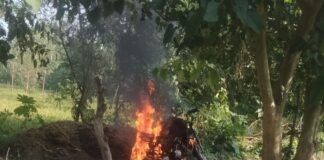 श्रावस्ती में चलती बाइक में लगी आग, परिवार सुरक्षित बचा:सेमरी तरहर गनेशपुर के पास हुआ हादसा, बाइक जलकर खाक