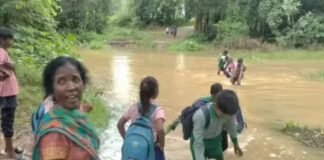नदी पर पुल नहीं, बच्चों की राह बनी खतरनाक; बाराडीह में रोजाना जोखिम भरा सफर News Desk