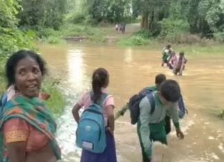 नदी पर पुल नहीं, बच्चों की राह बनी खतरनाक; बाराडीह में रोजाना जोखिम भरा सफर News Desk