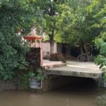 राप्ती नदी की कटान से बंदरहा बाबा मंदिर पर संकट:जमुनहा में जलस्तर घटने से कटान तेज हुई, श्रद्धालुओं और ग्रामीणों में चिंता बढ़ी राप्ती नदी की कटान से बंदरहा बाबा मंदिर पर संकट:जमुनहा में जलस्तर घटने से कटान तेज हुई, श्रद्धालुओं और ग्रामीणों में चिंता बढ़ी