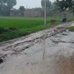 छेदीपुरवा में दशकों बाद भी पक्की सड़क नहीं:बारिश में कीचड़ से आवागमन मुश्किल, ग्रामीणों ने सरकार से जल्द निर्माण की मांग की