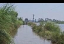 चैंनपुर-बिकवा घाट मार्ग पर जलभराव:आवागमन बंद, ग्रामीणों को दूसरे रास्ते से जाना पड़ रहा