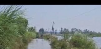 चैंनपुर-बिकवा घाट मार्ग पर जलभराव:आवागमन बंद, ग्रामीणों को दूसरे रास्ते से जाना पड़ रहा