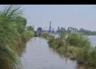 चैंनपुर-बिकवा घाट मार्ग पर जलभराव:आवागमन बंद, ग्रामीणों को दूसरे रास्ते से जाना पड़ रहा