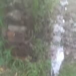 दिकऊली गांव में खुली नाली से दुर्गंध:मच्छर और बीमारियों का खतरा, बच्चे हो रहे प्रभावित दिकऊली गांव में खुली नाली से दुर्गंध:मच्छर और बीमारियों का खतरा, बच्चे हो रहे प्रभावित
