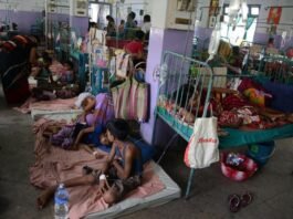 जहरीला फल खाने से 15 बच्चे बीमार, भंडारा खाकर लौटते समय बिगड़ी तबीयत