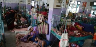 जहरीला फल खाने से 15 बच्चे बीमार, भंडारा खाकर लौटते समय बिगड़ी तबीयत