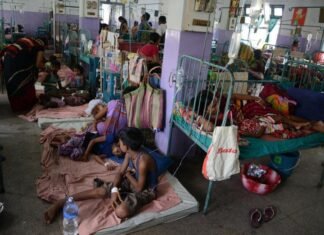 जहरीला फल खाने से 15 बच्चे बीमार, भंडारा खाकर लौटते समय बिगड़ी तबीयत