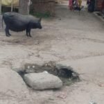 श्रावस्ती के निरहा में नाला टूटा:ग्रामीणों का आवागमन बाधित, बच्चों के गिरने का खतरा श्रावस्ती के निरहा में नाला टूटा:ग्रामीणों का आवागमन बाधित, बच्चों के गिरने का खतरा