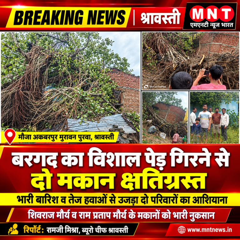 बरगद का विशाल पेड़ गिरने से दो मकान क्षतिग्रस्त, परिवारों का आशियाना उजड़ा