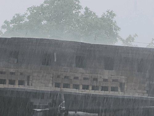gifmagicsite-2026-09-28t104532044_1790572545.gif