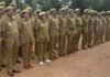 UP Home Guard PET 2025: यूपी होमगार्ड भर्ती की शारीरिक दक्षता परीक्षा स्थगित, अब 14 सितंबर से होगी; एडमिट कार्ड 10 सितंबर को