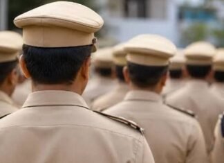 संभल में 29 दरोगाओं का तबादला, कई चौकियों को मिले नए प्रभारी