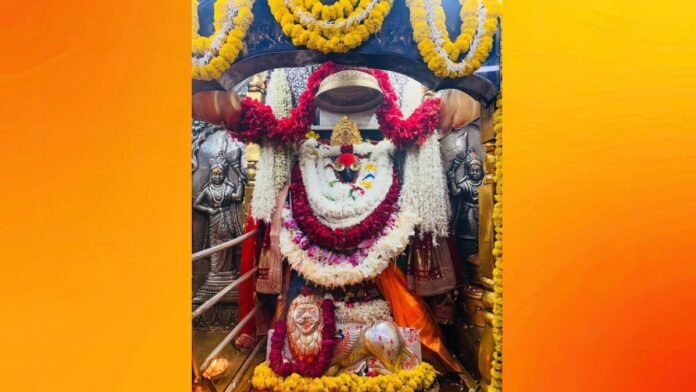 vidhyanchal.jpg