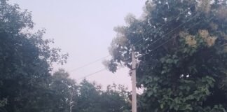 नेवलगढ़ गांव में 18 दिन बाद लौटी बिजली:दैनिक भास्कर में खबर प्रकाशित होने के बाद विद्युत विभाग ने की बहाली नेवलगढ़ गांव में 18 दिन बाद लौटी बिजली:दैनिक भास्कर में खबर प्रकाशित होने के बाद विद्युत विभाग ने की बहाली