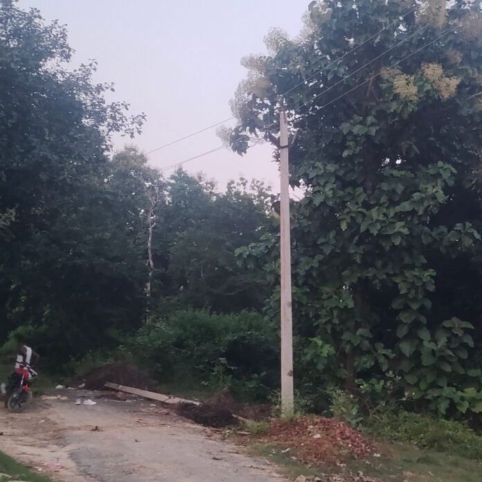 नेवलगढ़ गांव में 18 दिन बाद लौटी बिजली:दैनिक भास्कर में खबर प्रकाशित होने के बाद विद्युत विभाग ने की बहाली