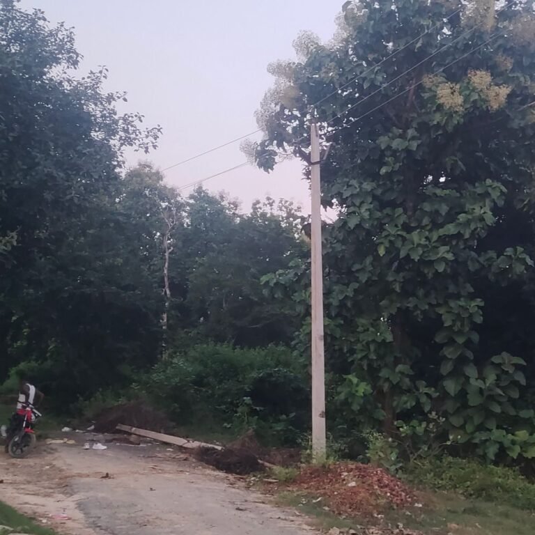 नेवलगढ़ गांव में 18 दिन बाद लौटी बिजली:दैनिक भास्कर में खबर प्रकाशित होने के बाद विद्युत विभाग ने की बहाली