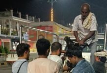 महराजगंज में घायल बछड़े को अध्यक्ष ने बचाया:सड़क पर तड़प रहा था, पुष्पलता मंगल ने गौशाला भिजवाया