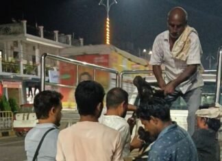 महराजगंज में घायल बछड़े को अध्यक्ष ने बचाया:सड़क पर तड़प रहा था, पुष्पलता मंगल ने गौशाला भिजवाया