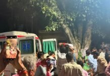 बस्ती में सांप के डसने से बुजुर्ग की मौत:नहर किनारे घास काट रहे थे, अस्पताल पहुंचने से पहले दम तोड़ा बस्ती में सांप के डसने से बुजुर्ग की मौत:नहर किनारे घास काट रहे थे, अस्पताल पहुंचने से पहले दम तोड़ा