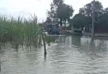 घाघरा नदी का जलस्तर घटने से ग्रामीणों को मिली राहत:बहराइच में खतरे के निशान से 38 सेमी नीचे पहुंचा पानी, गांवों में सामान्य स्थिति