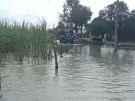 घाघरा नदी का जलस्तर घटने से ग्रामीणों को मिली राहत:बहराइच में खतरे के निशान से 38 सेमी नीचे पहुंचा पानी, गांवों में सामान्य स्थिति