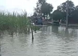 घाघरा नदी का जलस्तर घटने से ग्रामीणों को मिली राहत:बहराइच में खतरे के निशान से 38 सेमी नीचे पहुंचा पानी, गांवों में सामान्य स्थिति