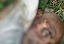 सिसवा में रेलवे ट्रैक पर मिला बुजुर्ग का शव:शिनाख्त करवाने में जुटी पुलिस, लोको पायलट ने स्टेशन मास्टर को दी सूचना सिसवा में रेलवे ट्रैक पर मिला बुजुर्ग का शव:शिनाख्त करवाने में जुटी पुलिस, लोको पायलट ने स्टेशन मास्टर को दी सूचना