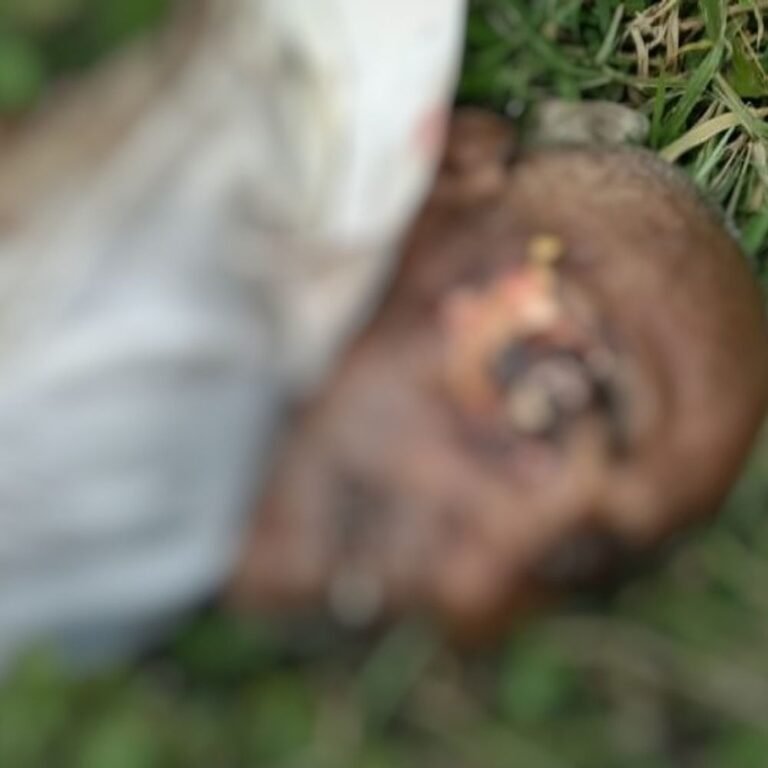सिसवा में रेलवे ट्रैक पर मिला बुजुर्ग का शव:शिनाख्त करवाने में जुटी पुलिस, लोको पायलट ने स्टेशन मास्टर को दी सूचना